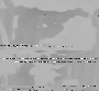 MHS-1.png